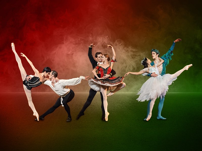 Ballet Icons Gala 2024 Image
